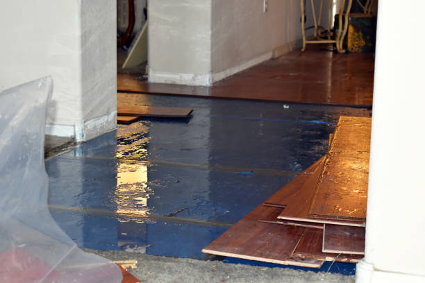 Professional Water Damage Restoration technician working in Saint Clair, MN